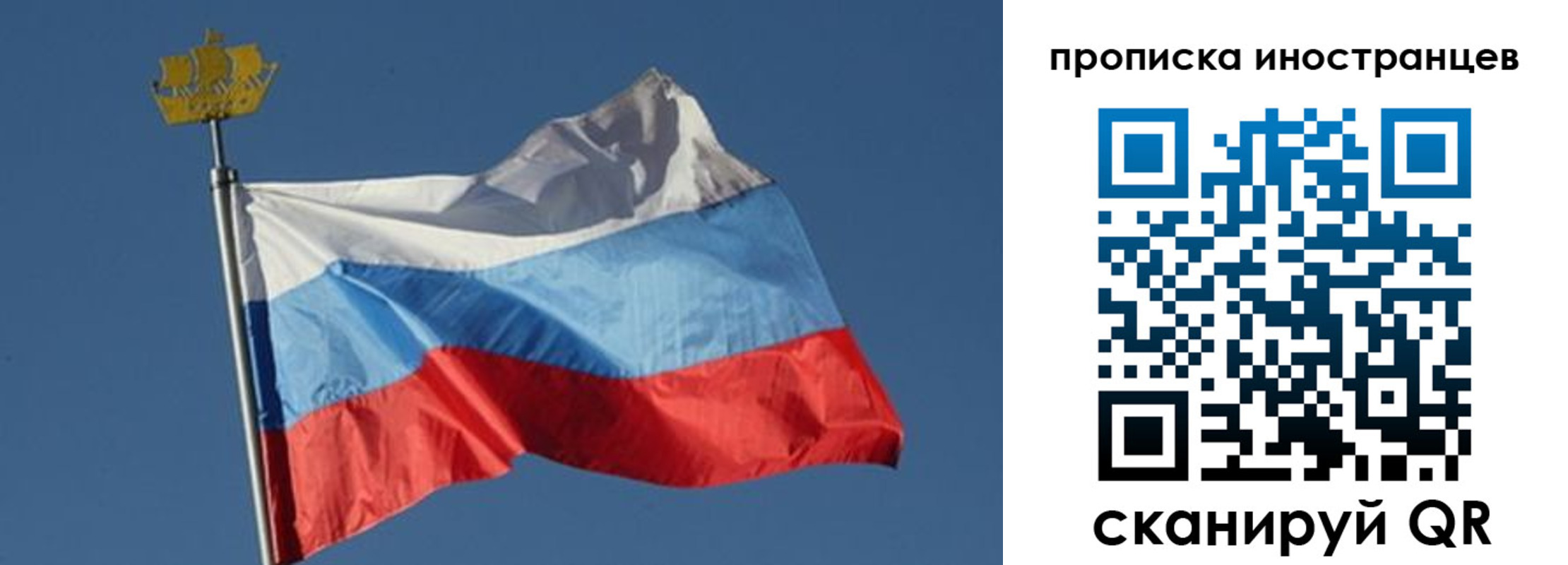 прописка поиск в Севастополе